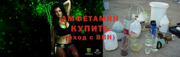 хмурый Абаза