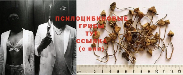 МДМА Алексин