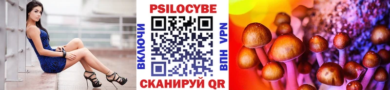 Галлюциногенные грибы Psilocybe закладки Белореченск